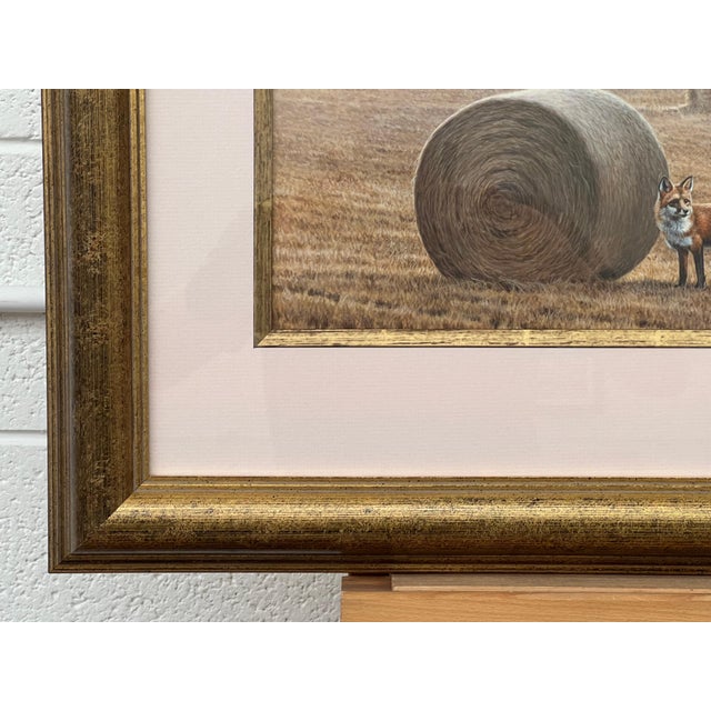 Contemporary Fox amidst the Hay Bales on Misty Morning in a Field in the English Countryside 2014 For Sale - Image 3 of 18