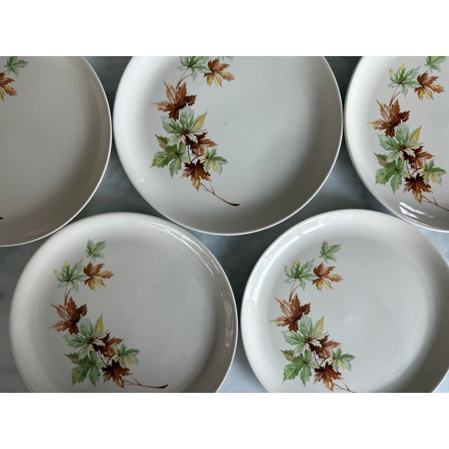 Mid-Century Modern Set of 5 Vintage Salem Maple Leaf Plates For Sale - Image 3 of 8