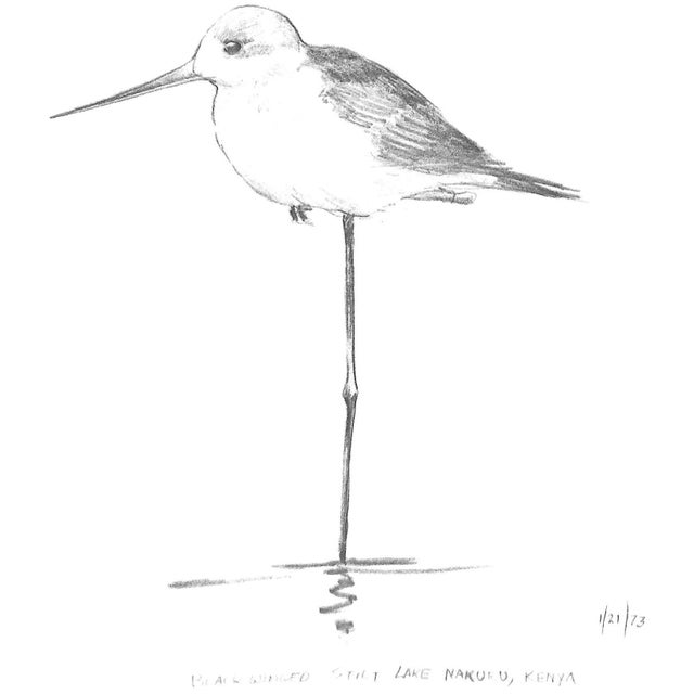 White "Ray Harm's African Sketchbook" 1973 Harm, Ray For Sale - Image 8 of 12