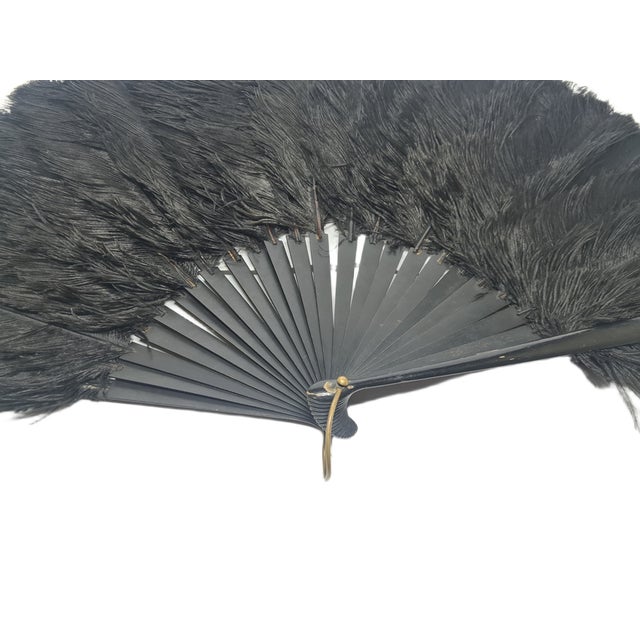 Art Deco Polish Autriche Feather Fan, 1920s For Sale - Image 11 of 16