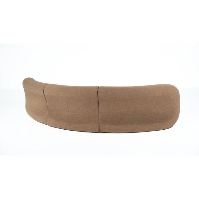 Brown Carrera Sofa attributed to De Pas, D'Urbino and Lomazzi for BBB Bonacina, 1960s For Sale - Image 8 of 16