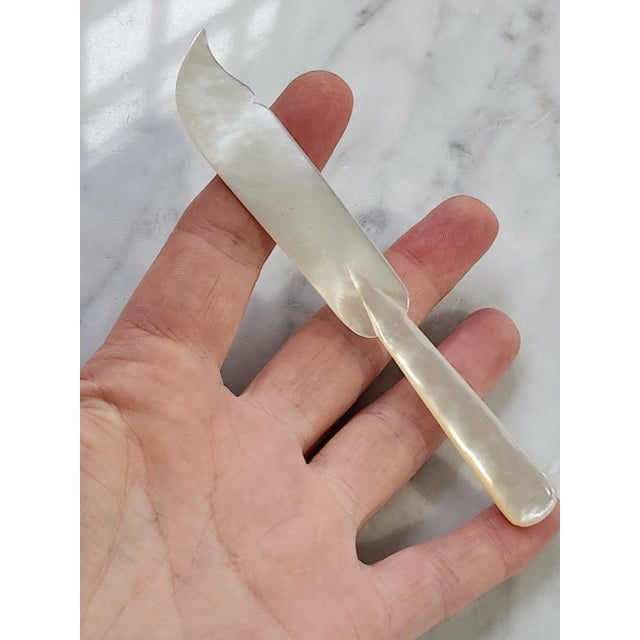 Shell Vintage Hand Carved Mother-Of-Pearl Caviar Spreader Knife For Sale - Image 7 of 7