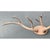 Camel Vintage Carved Wood Antler Wall Mount For Sale - Image 8 of 14