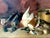 Henri Douzil (1837–1891) French Sporting Still Life "After the Hunt" For Sale - Image 14 of 15