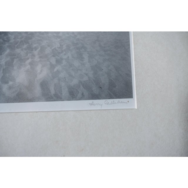 Mid-Century Modern 1972 Harry Callahan Cape Cod Massachusetts Silver Gelatin Black and White Landscape Seascape Photographic Print For Sale - Image 3 of 6