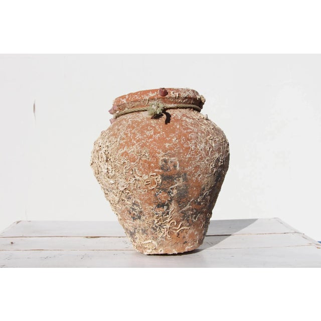 An hand made terracotta pot originally submerged under sea and used as a trap for an individual octopus. This pot has a...