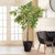 Fashion forward with a deep black finish, natural materials and enhanced weave. This is Alvero. Even the solid...