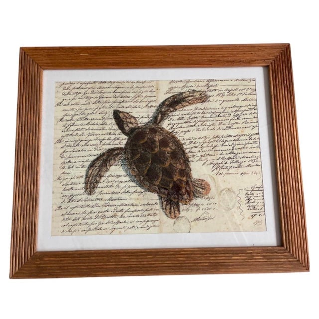 Vintage Sea Turtle Script Art Print in Fluted Wooden Frame For Sale - Image 4 of 12