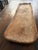 Camel Large 38" Antique Hand-Carved Primitive Wooden Dough Bowl (Trencher) For Sale - Image 8 of 10