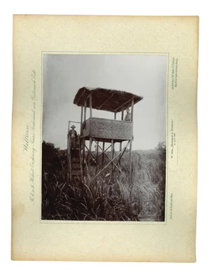 Unknown, Java, High Stand in Ploembon, Original Vintage Photo, 1893