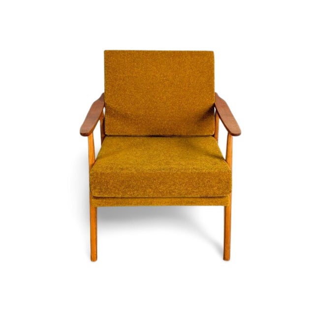 Mid-Century Modern Tuclé Easy Chair For Sale - Image 10 of 10