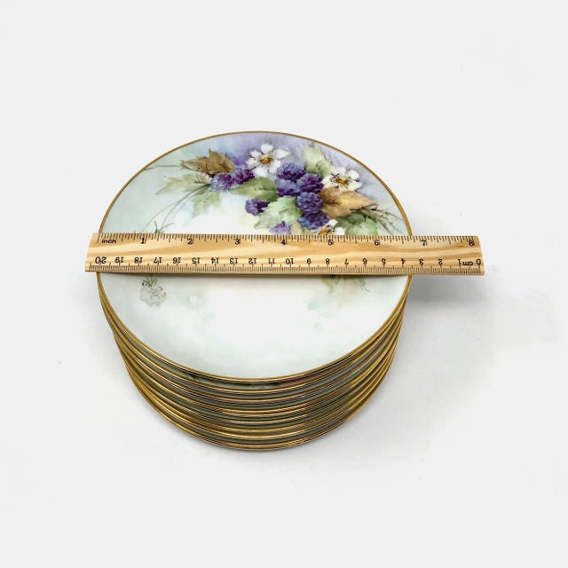 This set of 12 hand painted porcelain plates are all in good condition as pictured with no chips or cracks.