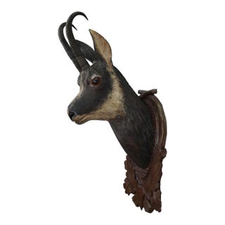 Large Naturalistic Black Forest Carved Chamois Head, Ca. 1930s For Sale
