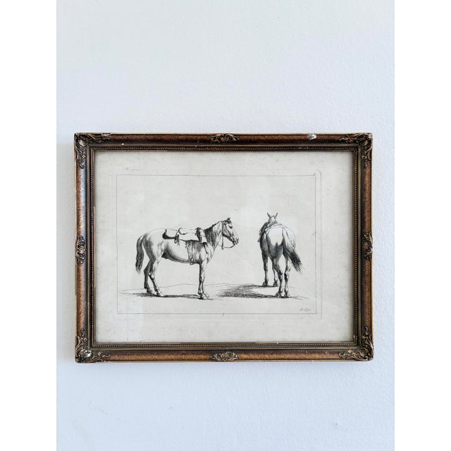Figurative Antique Original Horse Etchings, Circa 1700: Framed Equestrian Prints - a Pair For Sale - Image 3 of 15