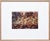 Albarran & Cabrera, Image of Fish, Photograph with Gold Leaf on Japanese Paper, 2013, Framed For Sale - Image 11 of 11