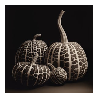 Black & White Botanical Pumpkins No. 4 — Fine Art Photograph Print | Unframed For Sale