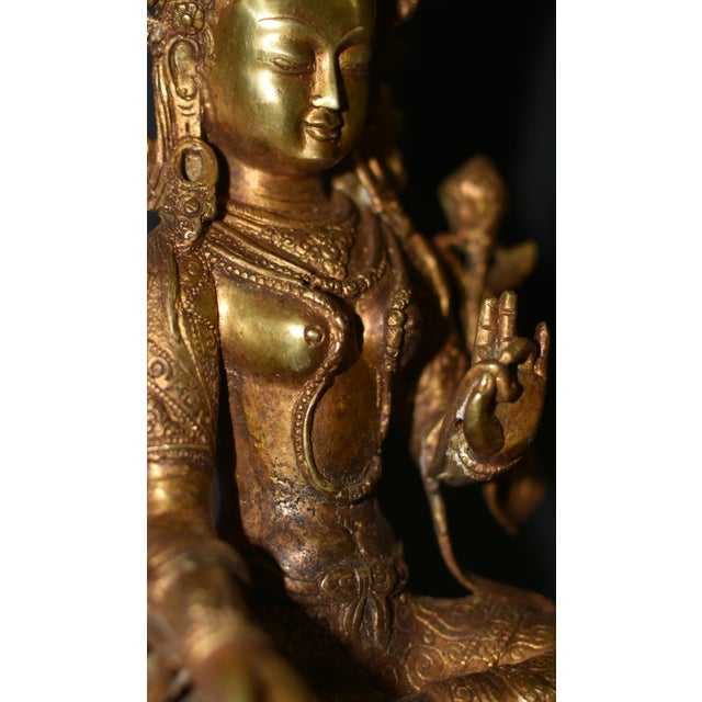 Green Tara Tibetan Gilt Bronze 12" For Sale - Image 11 of 12