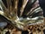 1970s French Gilt Bronze Clamshell and Crystal Sculpture by Claude Victor Boeltz For Sale - Image 14 of 15