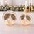 Add a sparkling winter glow to your home with the LED Frosted Pine Cone Globe Set. These beautiful illuminated glass...