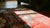 Excellent Red Color With Special Asymmetric Knots and Floral Design Antique Chinese Peking Rug For Sale - Image 12 of 13