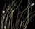 Metal Vintage Mid Century Modern Curtis Jere Style Metal Gold Windswept Willow Tree Wall Sculpture For Sale - Image 7 of 8