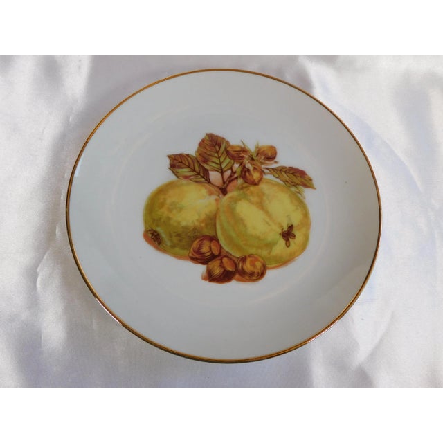 1970s 1970s Fruit Plates- Set of 4 For Sale - Image 5 of 7