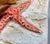 Vintage Otagiri Japan Ceramic Seashell & Starfish Bookends — Coastal / Nautical For Sale - Image 11 of 11