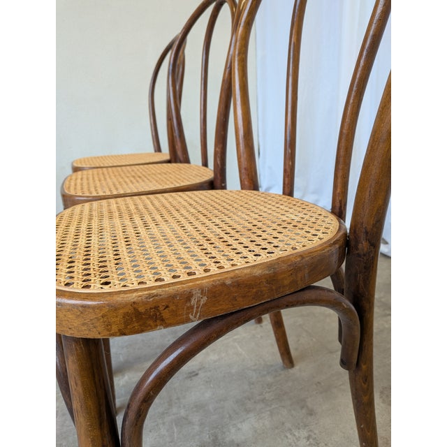 Vintage Dining Chairs with Bentwood Cane Seat, 1970s, Set of 4 For Sale - Image 13 of 18