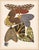 Papillons (Butterflies) Plate 14 Giclee Reproducion Art Print by Emile Allian Séguy For Sale