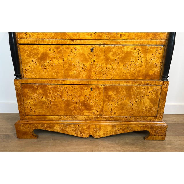 1950s Biedermeier style chest of drawers with four maple drawers. For Sale - Image 9 of 12