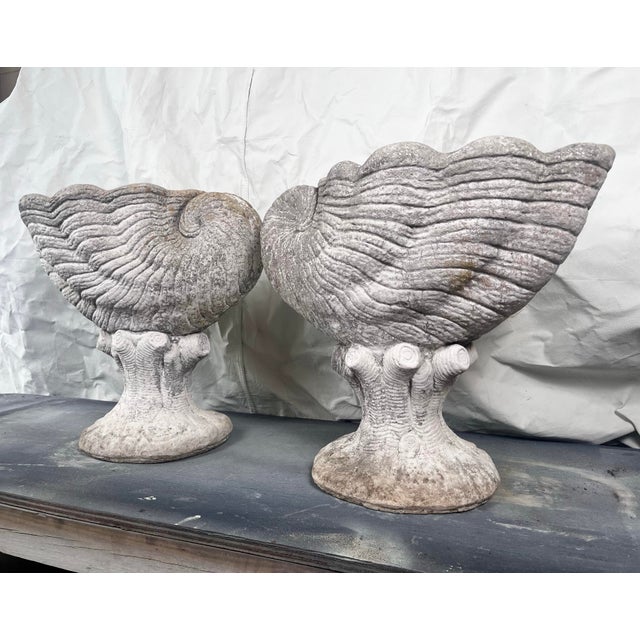 Traditional Vintage Cast Stone Nautilus Shell Planters- A Pair For Sale - Image 3 of 12