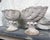 Traditional Vintage Cast Stone Nautilus Shell Planters- A Pair For Sale - Image 3 of 12