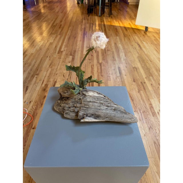 Adrift by Ashley Folkner | Mixed Media Sculpture of driftwood with a dandelion flower For Sale