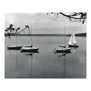 1972 Lake Washington Seattle Sailboats Photograph