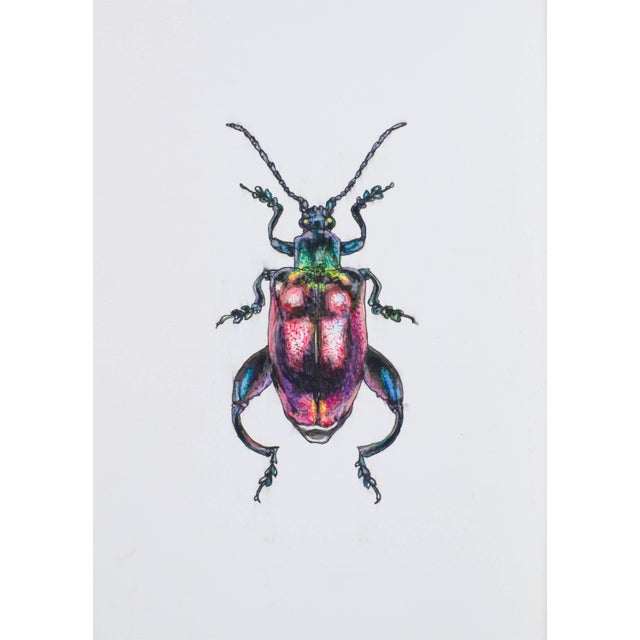Contemporary Juris Utans, Muscled Beetleman, 2021, Mixed Media on Paper For Sale - Image 3 of 3