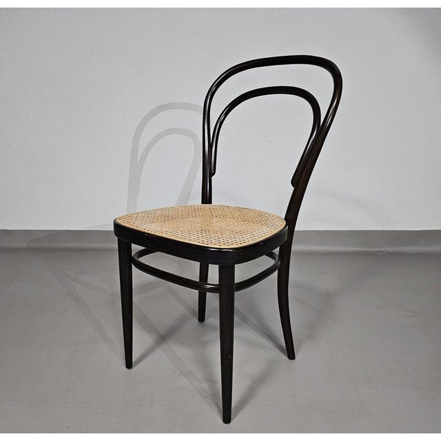 Model 214 and 79 Cafe Chairs with Cane Seats by Michael Thonet, Set of 3 For Sale - Image 6 of 18