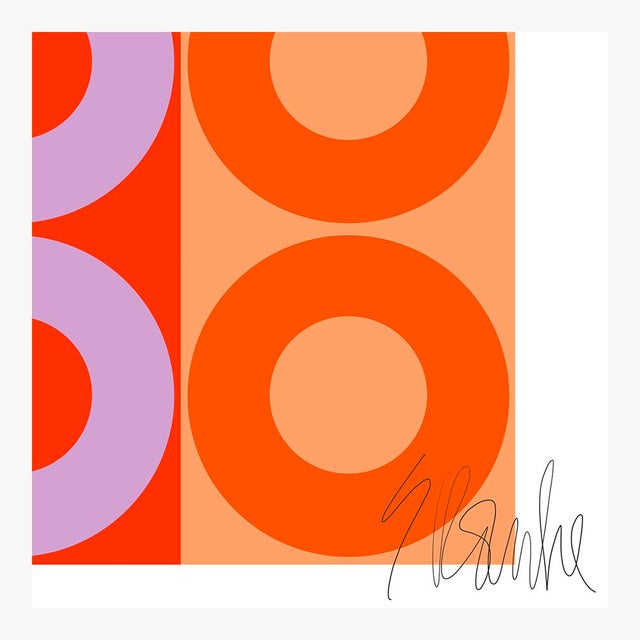 Not Yet Made - Made To Order Pink and Orange Color Harmony Fine Art Print 40" X 50" by Liz Roache For Sale - Image 5 of 6