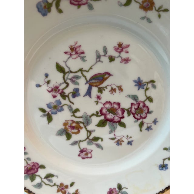 Ceramic Pair of Vintage Indian Bird Haviland Porcelain Plates For Sale - Image 7 of 13