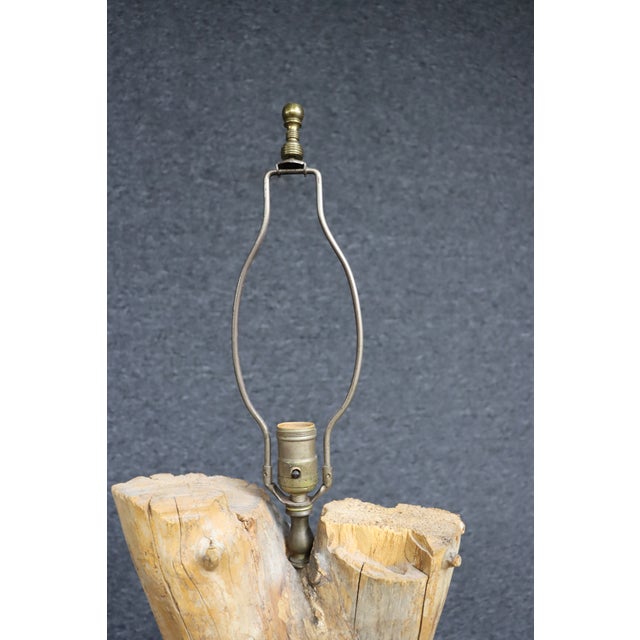 Natural driftwood table lamp crafted from a substantial weathered wood trunk showcasing organic texture, knots, and a...