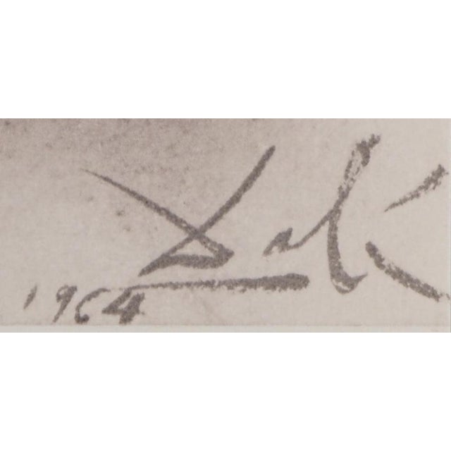 Salvador Dali, La Naissance, Lithograph For Sale - Image 5 of 6