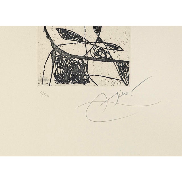 Abstract Joan Miró, Plate XVII From Les Saltimbanques, Hand Signed Etching, Edition of 30, 1975 For Sale - Image 3 of 3