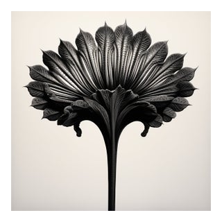 Dipsacus Stigosus — Vintage Botanical Photography Print For Sale