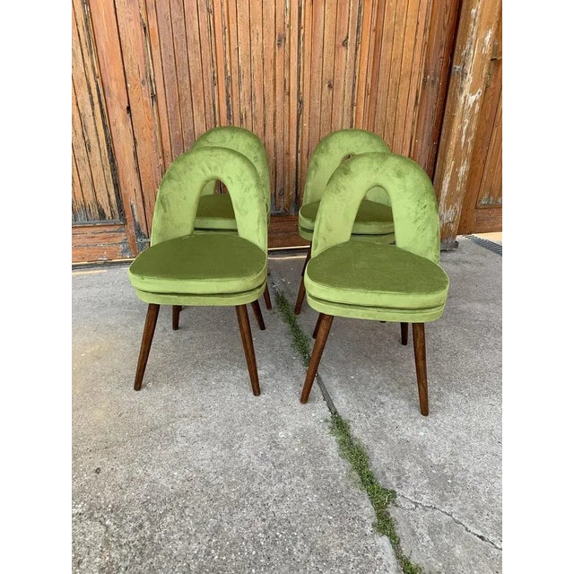 Mid-Century Dining Chairs by Antonín Šuman for Tatra Nábytok, 1960s, Set of 4 For Sale - Image 4 of 9