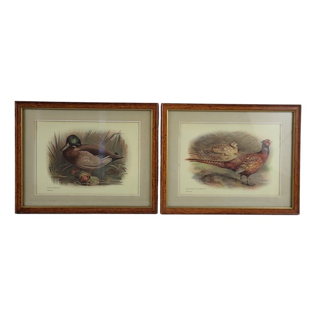 Duck & Pheasant, Prints, 1930s, Framed, Set of 2 For Sale