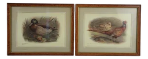 Duck & Pheasant, Prints, 1930s, Framed, Set of 2