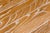 Farmhouse Hickory Chair - Suzanne Kasler Collection "Piedmont" Dining Table For Sale - Image 3 of 9