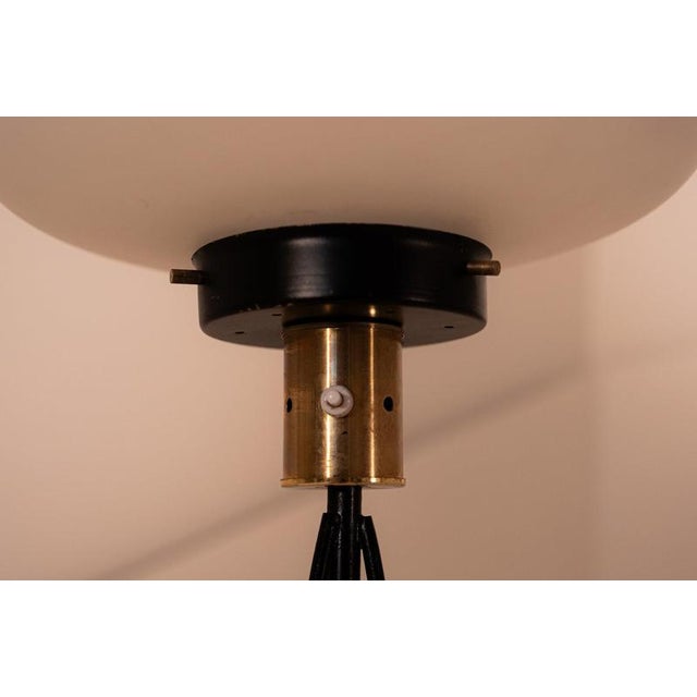 Mid-century floor lamp, designed in the 1950s. It stands on a three-legged base and features a black lacquered metal...