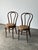 Bentwood Oak Café Chairs W/ Rose Floral Seats, 1933 World's Fair — Set of 7 For Sale - Image 9 of 17