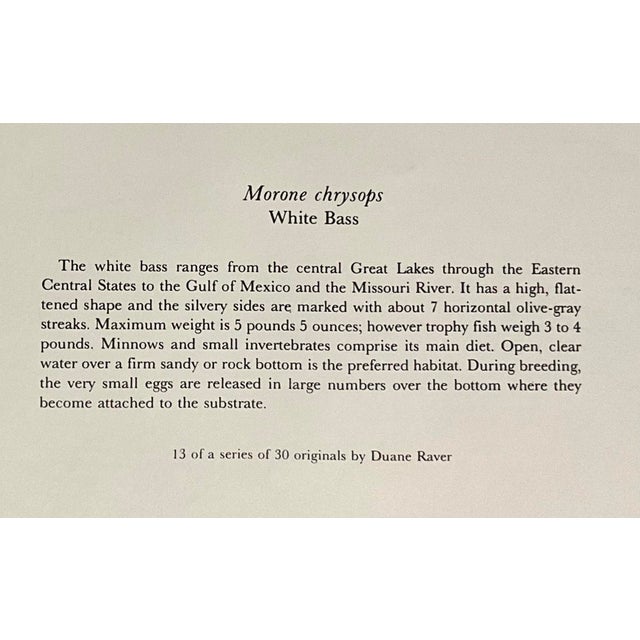 Mid 20th Century Set of 3 Vintage Dept.of the Interior/U.S. Fish and Wildlife Service, Color Plate Original Prints Framed. For Sale - Image 10 of 10