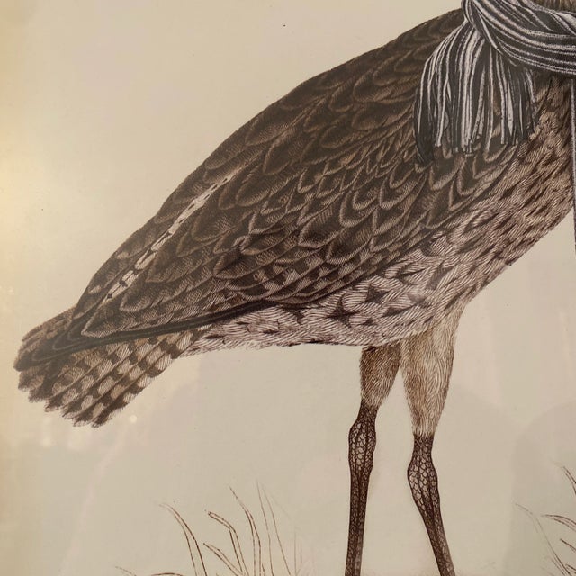 2010s Early 21st Century Whimsical Bird Prints in Silver Frame ~ a Pair For Sale - Image 5 of 11